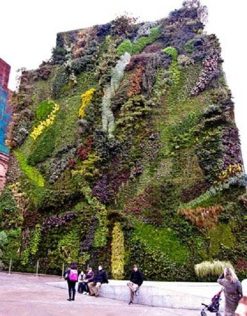 5madridgiantlivingwall.jpg