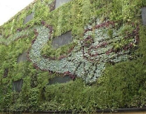 6mexicocitylivingwall1.jpg