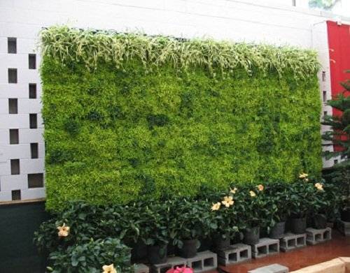7missouriverticalgarden.jpg