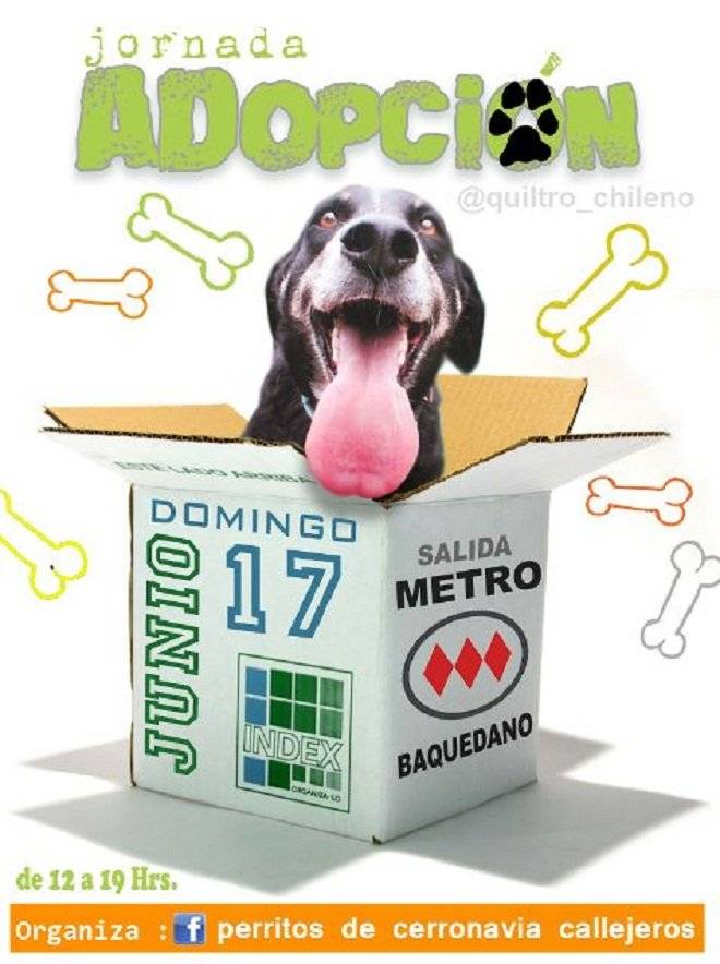 adopcic3b3n.jpg
