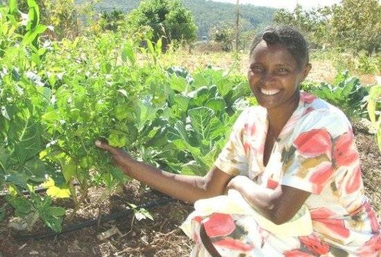 agroecologia550x371.jpg