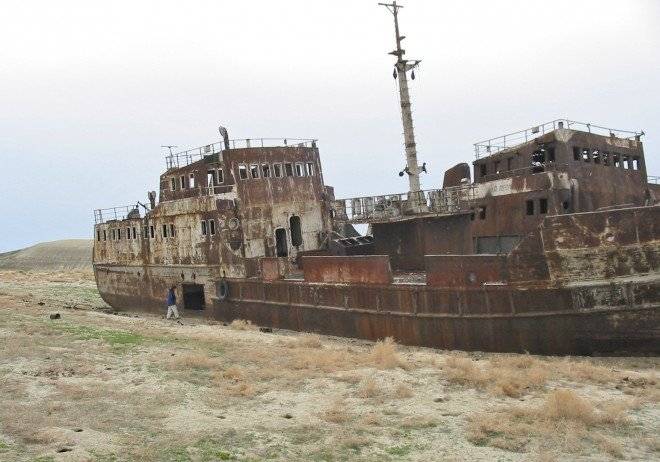 aralship660x550.jpg