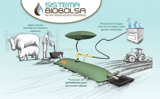 biobolsa.jpg
