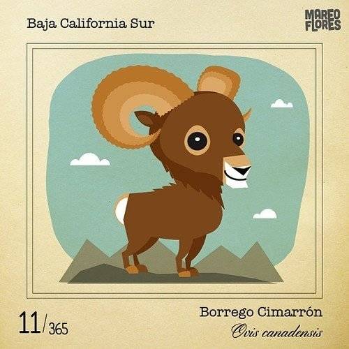 borrego660x550.jpg