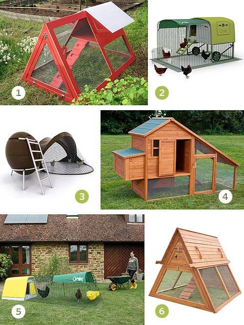 chickencoops.jpg