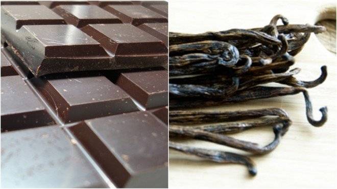 chocolatevainilla660x550.jpg