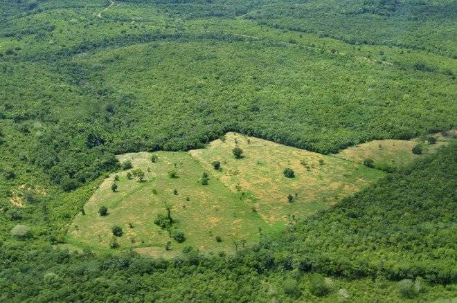 ciat660x550.jpg