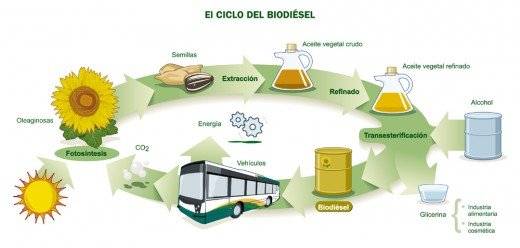 ciclobiodiesel21520x248.jpg