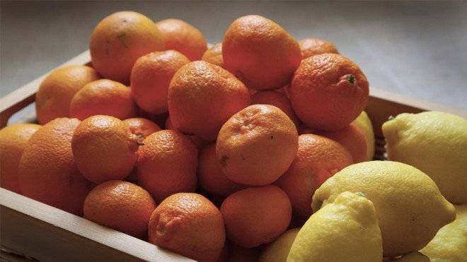 citricos660x550.jpg