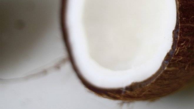 coconut660x550.jpg