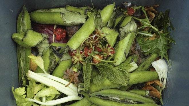compostverde660x550.jpg