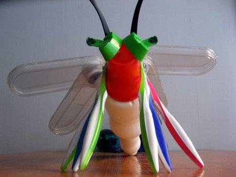 ecolibelula466x350.jpg