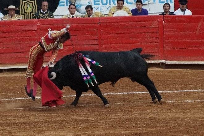 estocada660x550.jpg
