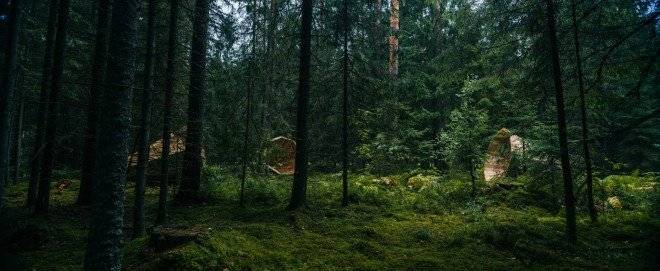 estoniawoodenmegaphones4660x550.jpg