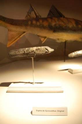 expo2-2.jpg