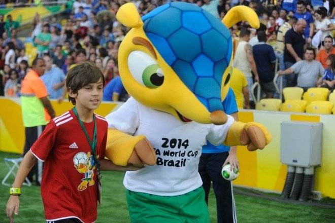fuleco.2013660x550.jpg