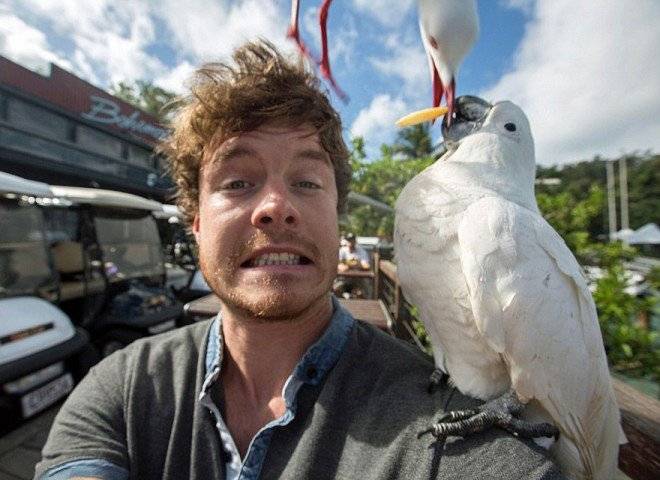 funnyanimalselfiesallandixon261660x550.jpg