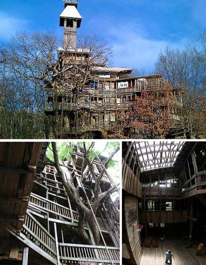gianttreehouse.jpg