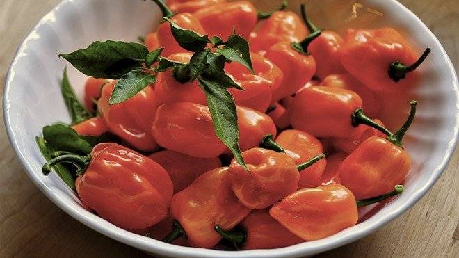 habanero660x550.jpg