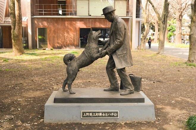 hachiko.jpg