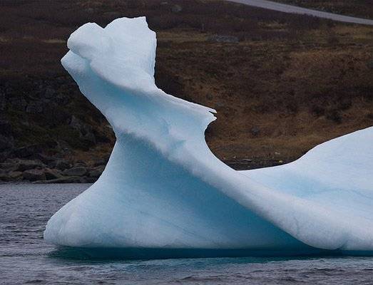 iceberg.jpg
