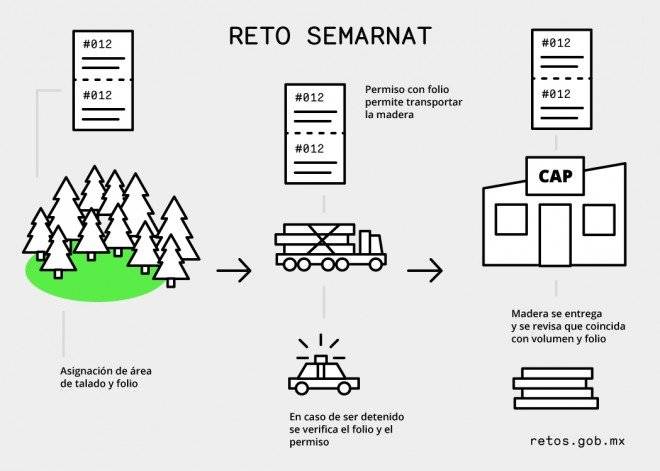 infografc3adasemarnat660x550.jpg