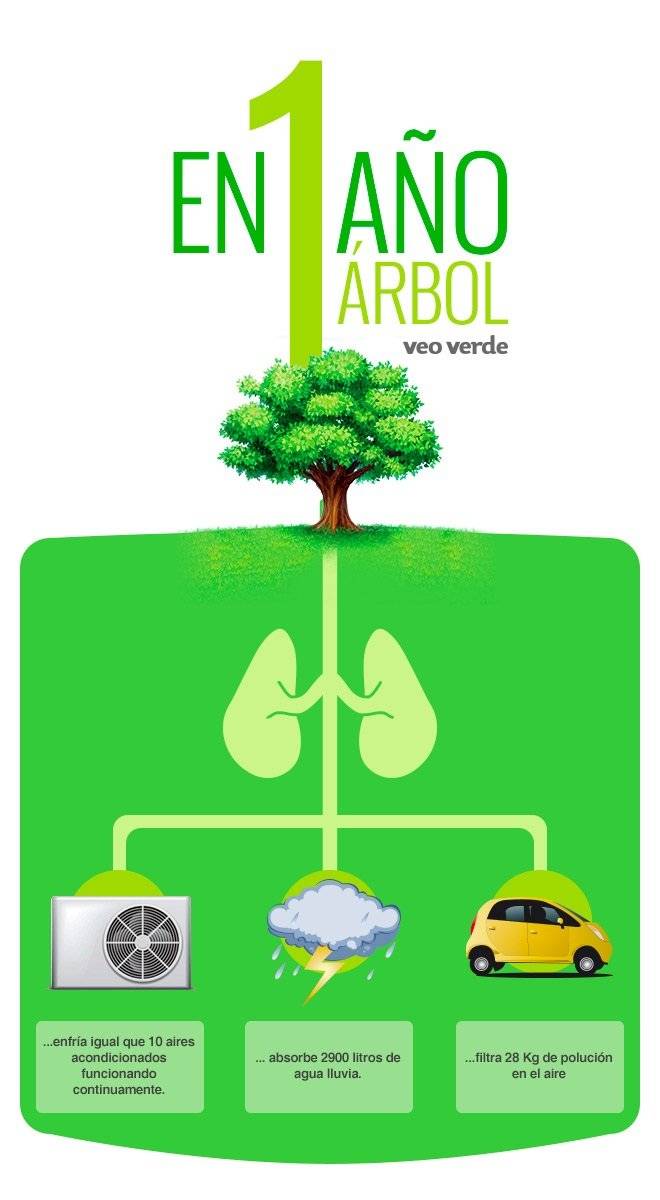 infografiaarbolesveoverdev2.jpg