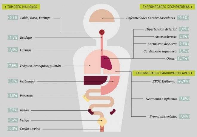 infografiatabaquismo660x550.jpg