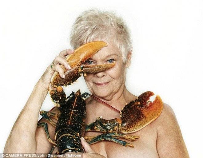 judidench660x550.jpg
