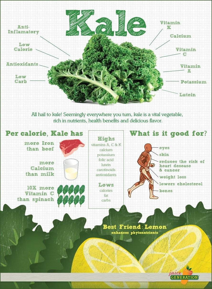 Cual es el kale en espanol