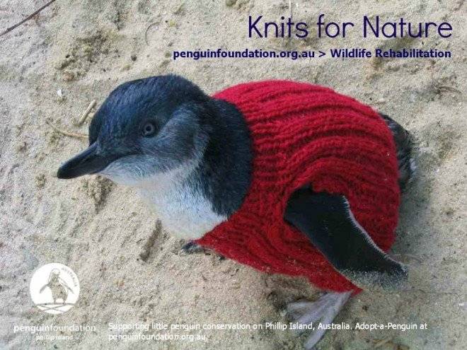 knitfornature660x550.jpg