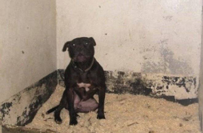 lennox660x550.jpg