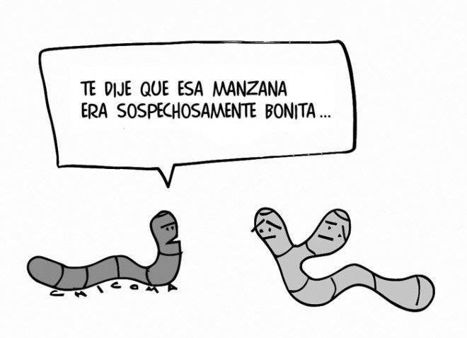manzanacabezagusano24660x478.jpg
