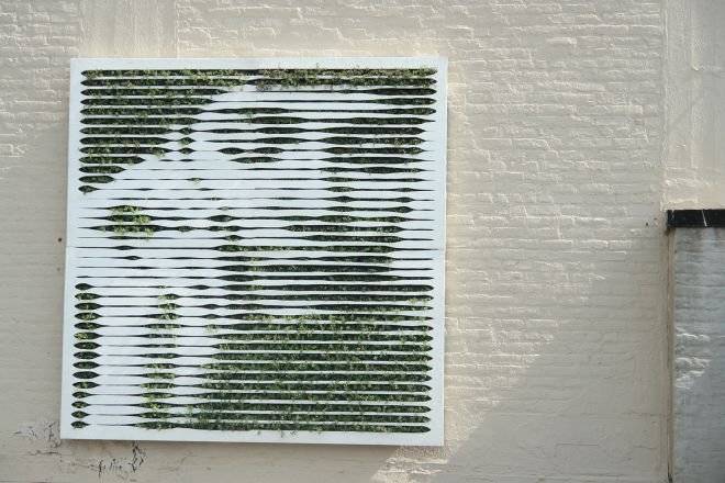 mosstikagreenwall1.jpg