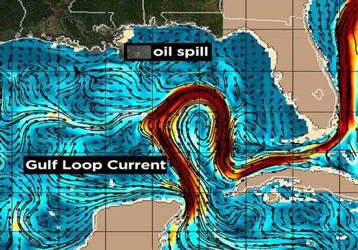 oilcurrent825x825.jpg