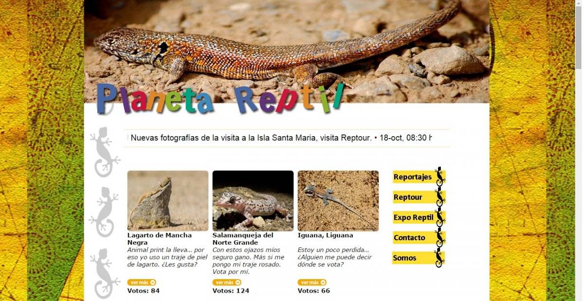 planetareptil.jpg