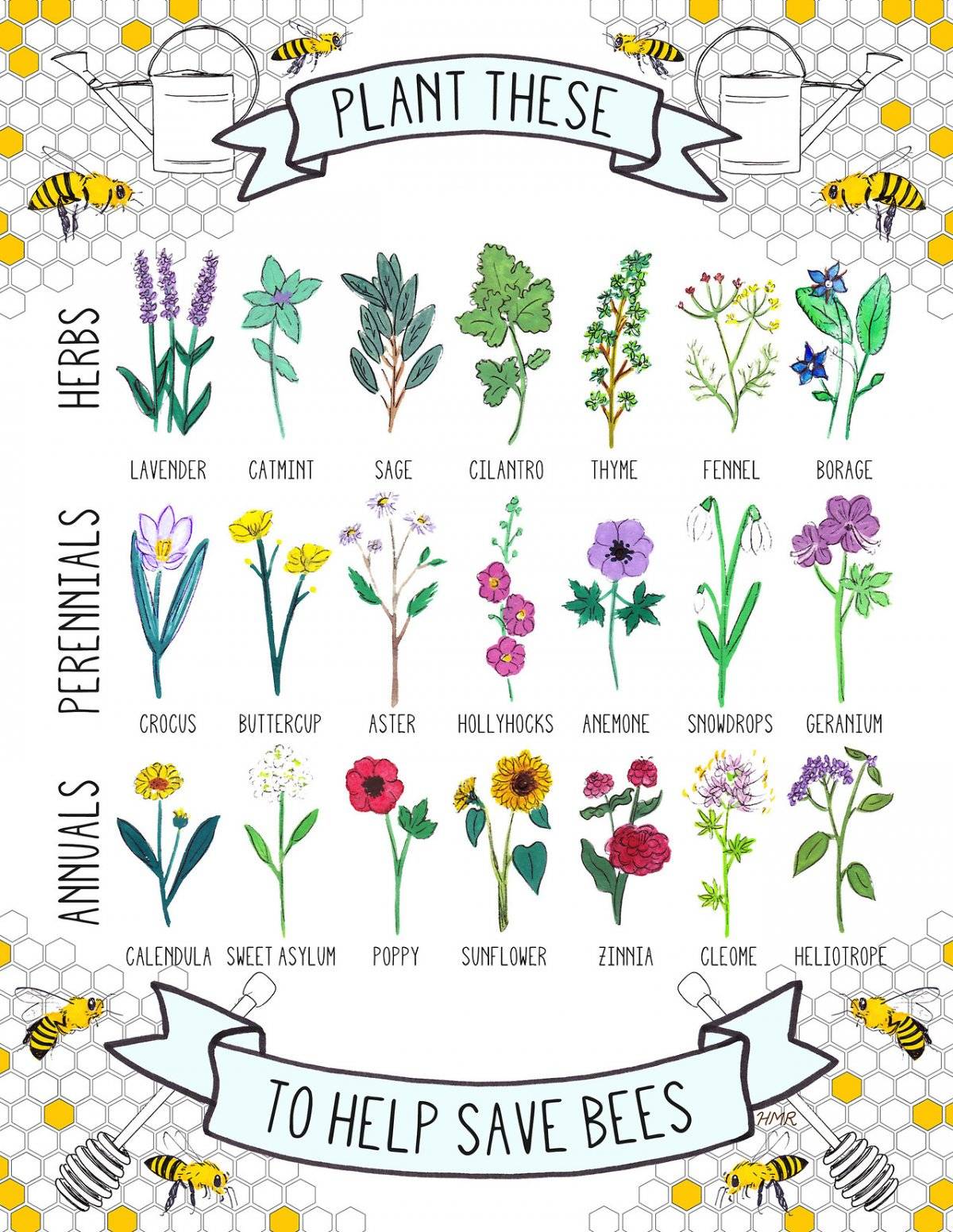 plantasabejas.jpg