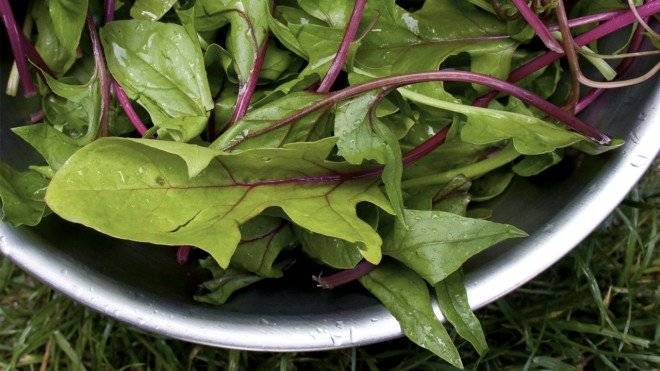 spinach660x550.jpg