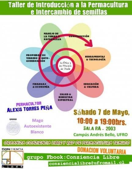tallertemuco432x550.jpg