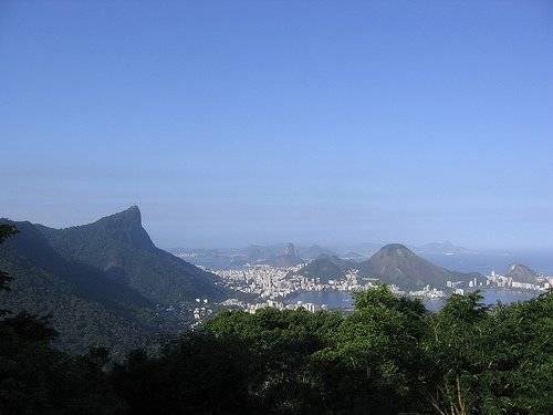 tijuca.jpg