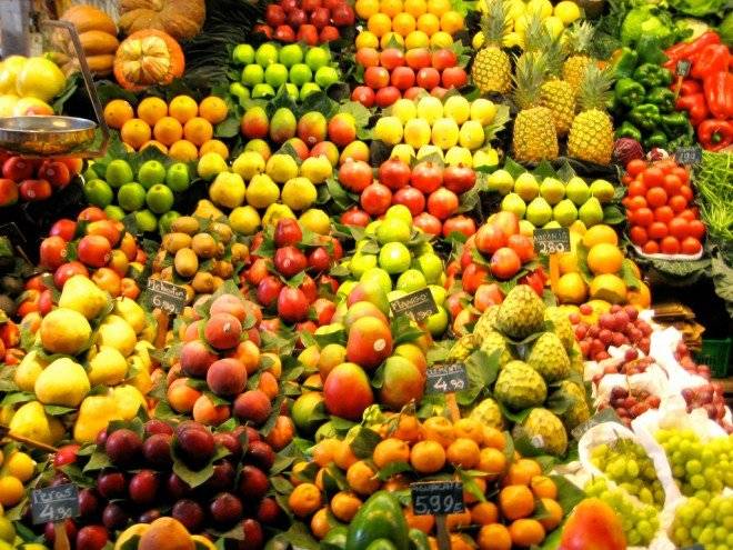 vegano4660x495.jpg
