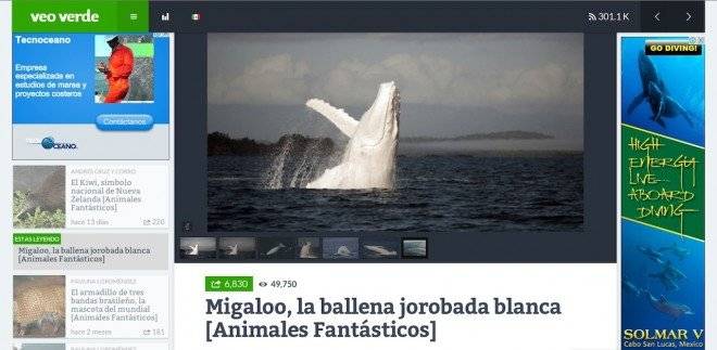 veoverdenavegacion660x550.jpg