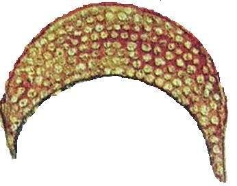 virginmaryamanitacap.jpg