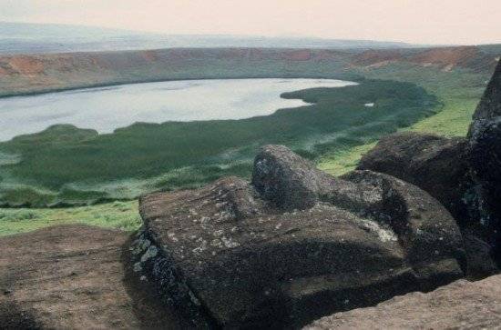 286rapanui550x363.jpg