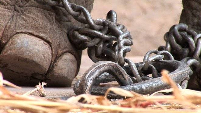 2cadenas660x550.jpg