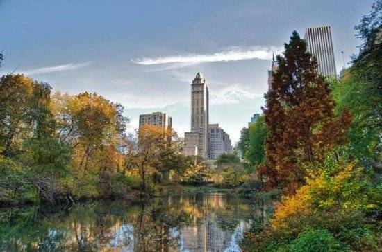 800pxsouthwestcornerofcentralparklookingeastnycjpg.imgassistcustom600x397550x364.jpg