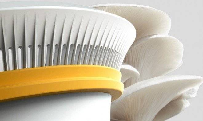 adrianperezhifacoffeemushroom101020x610660x550.jpg