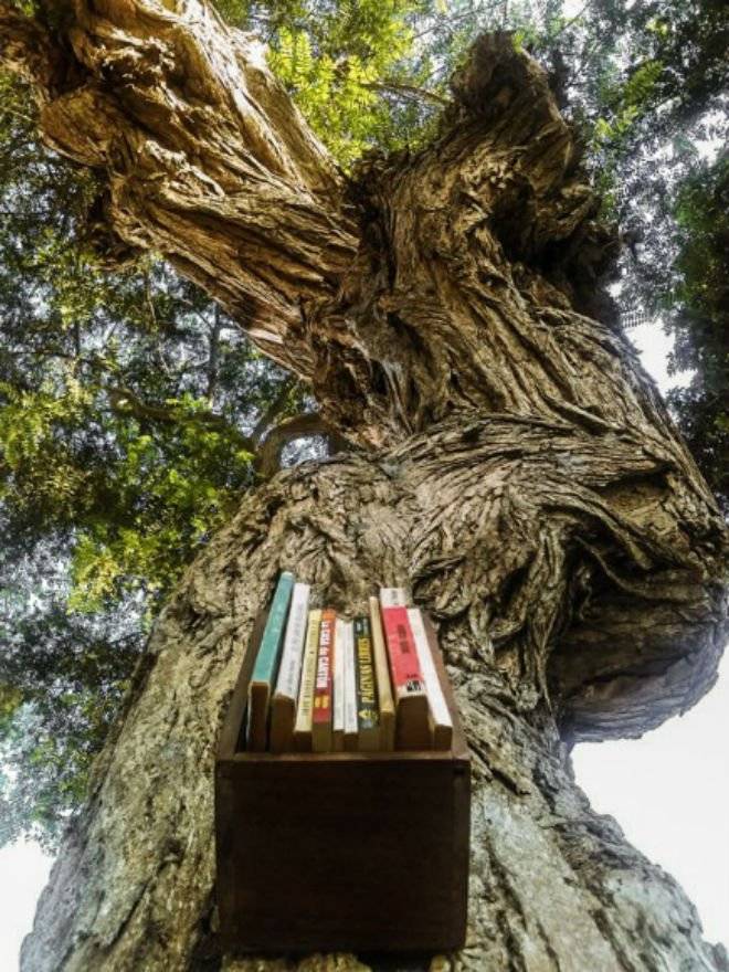 arbolibro2.jpg