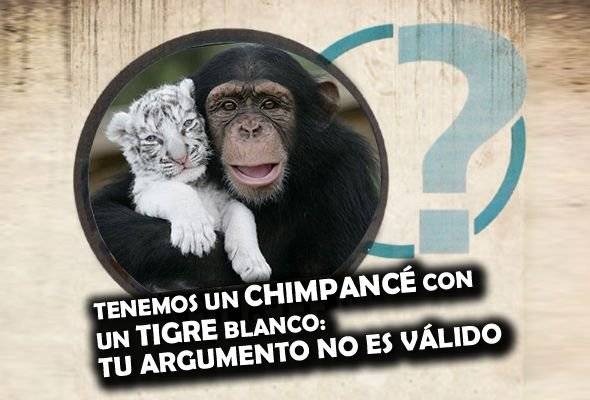 argument-2.jpg