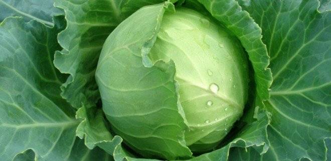 colcorazonbuey1660x550.jpg